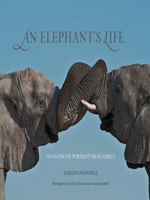 Cover image for Elephant's Life